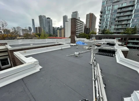 2023-07-24-2.webp 2023-07-24-2.webp