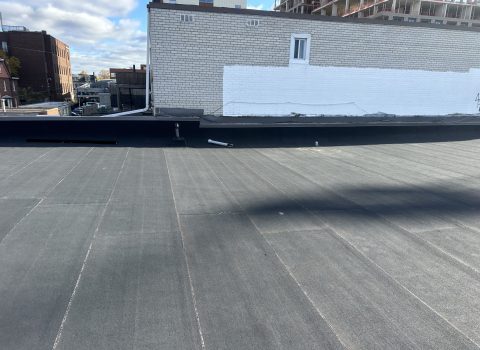 IMG_7967-scaled.jpeg IMG_7967-scaled.jpeg