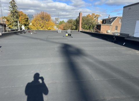 IMG_7969-scaled.jpeg IMG_7969-scaled.jpeg