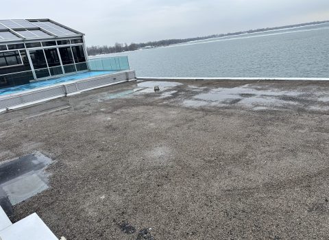 IMG_9071-scaled.jpeg IMG_9071-scaled.jpeg