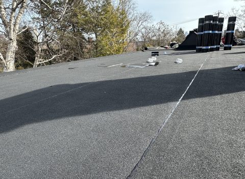 IMG_9219-scaled.jpeg IMG_9219-scaled.jpeg